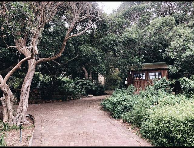 2 BEDROOM PROPERTY TO RENT IN CHAPMANS PEAK